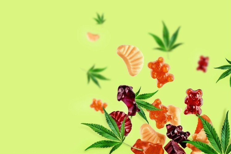 Factors to Consider When Choosing THC Edibles for Wellness Needs